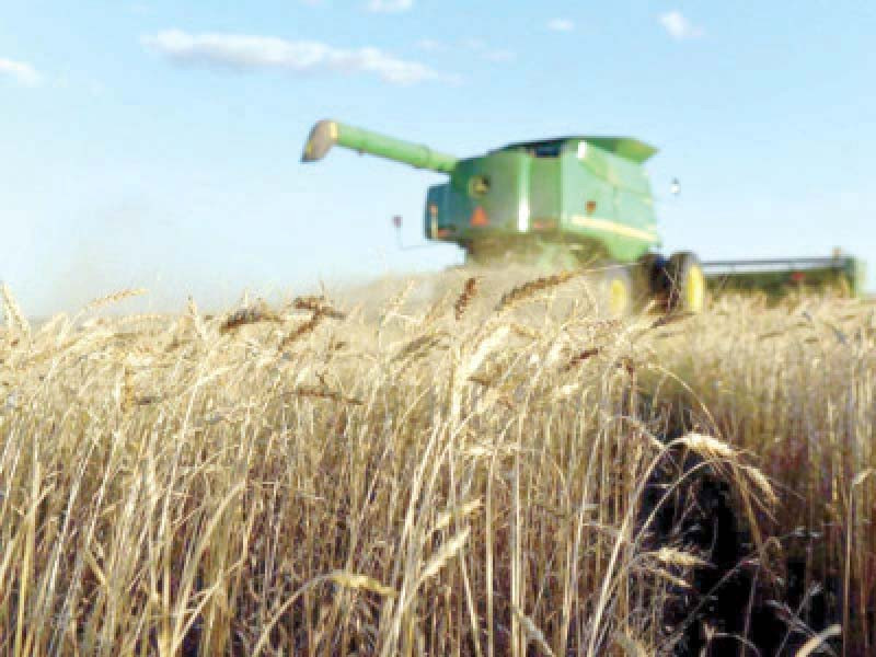 today ztbl has become a loan recovery institution as farmers delay the repayment of debt due to financial constraints photo afp