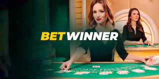 Is Betwinner Reliable - An In-Depth Analysis